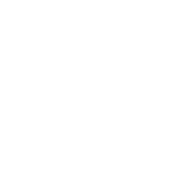 Nautives logo